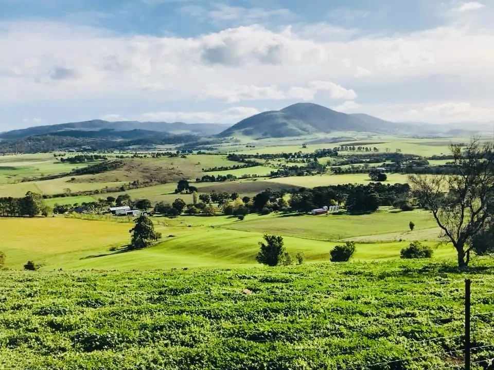 2forty9 Wine Farm, Coal River Valley
