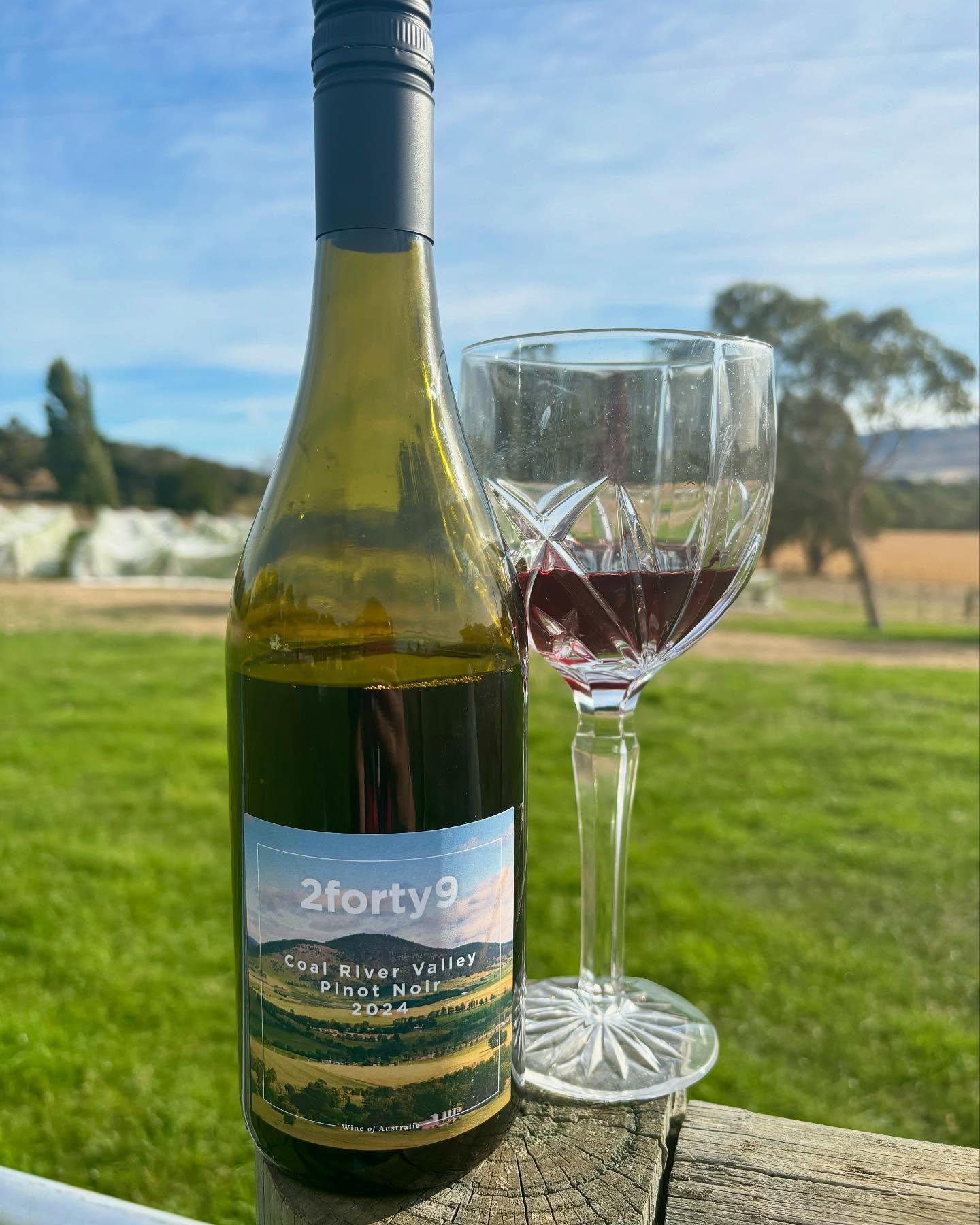 2forty9 Wine Farm
