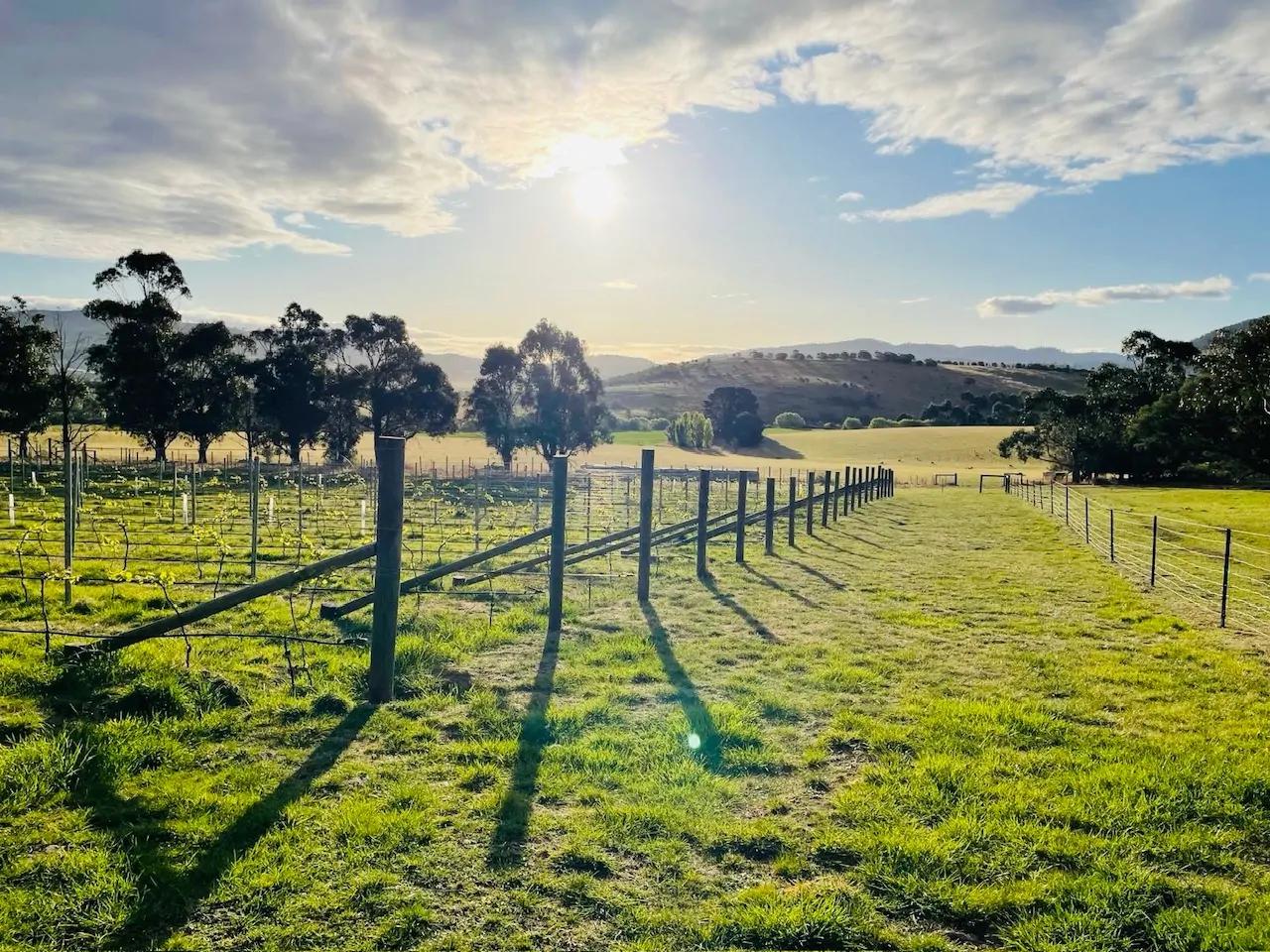 2forty9 Wine Farm