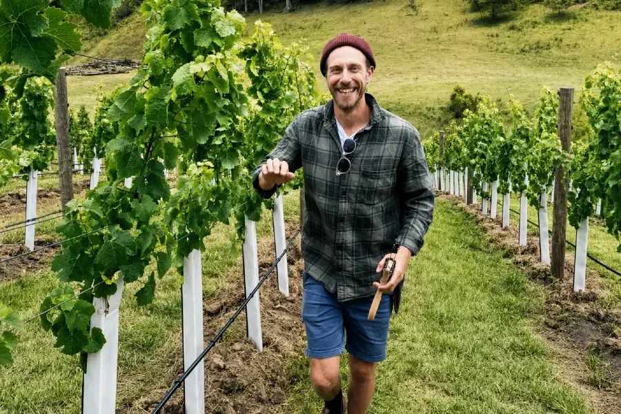 Bart in the vines