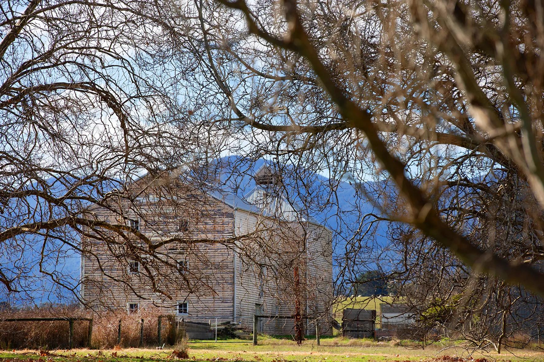 Frankcomb vineyard and cellar door, photo 3
