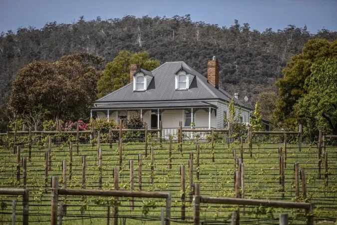 Kate Hill Wines, Huon Valley