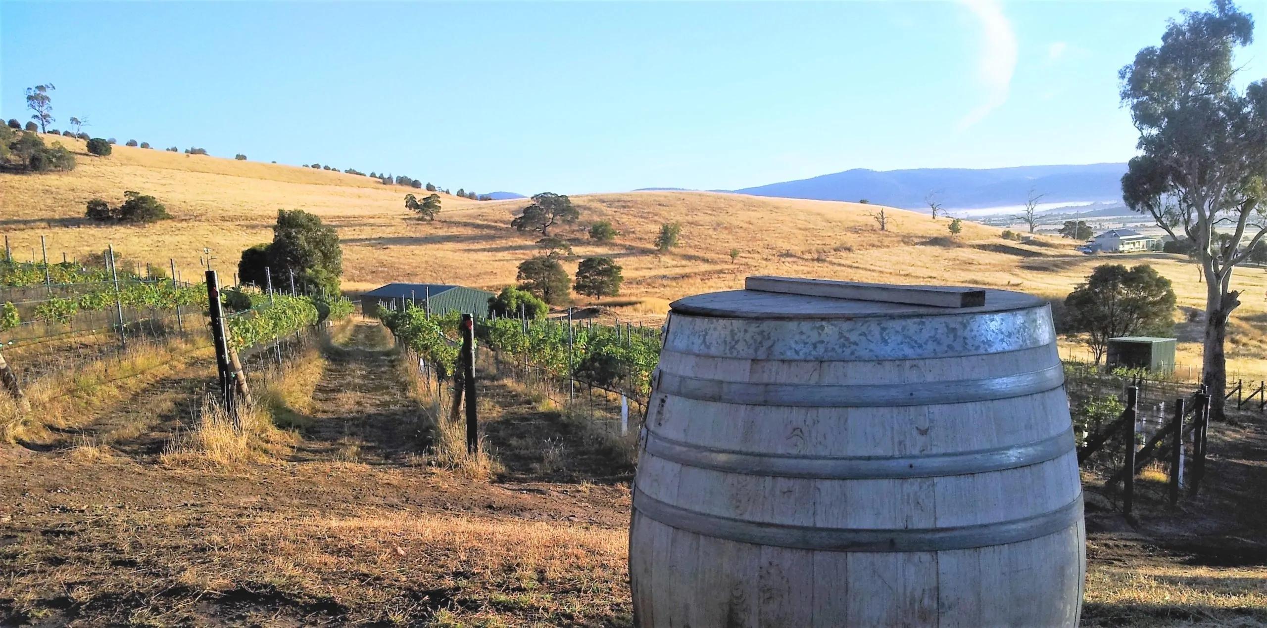 Parallax Organic Vineyard