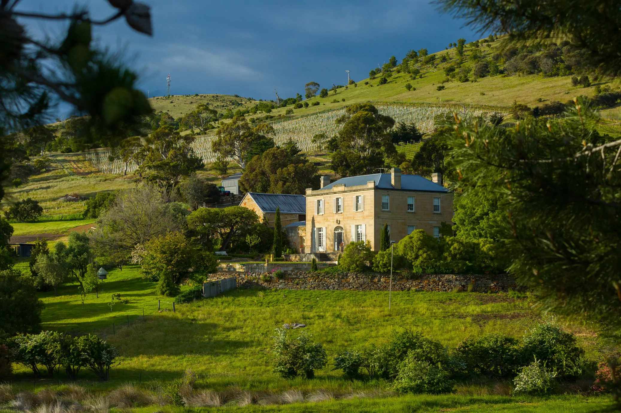 Pooley Wines, Coal River Valley