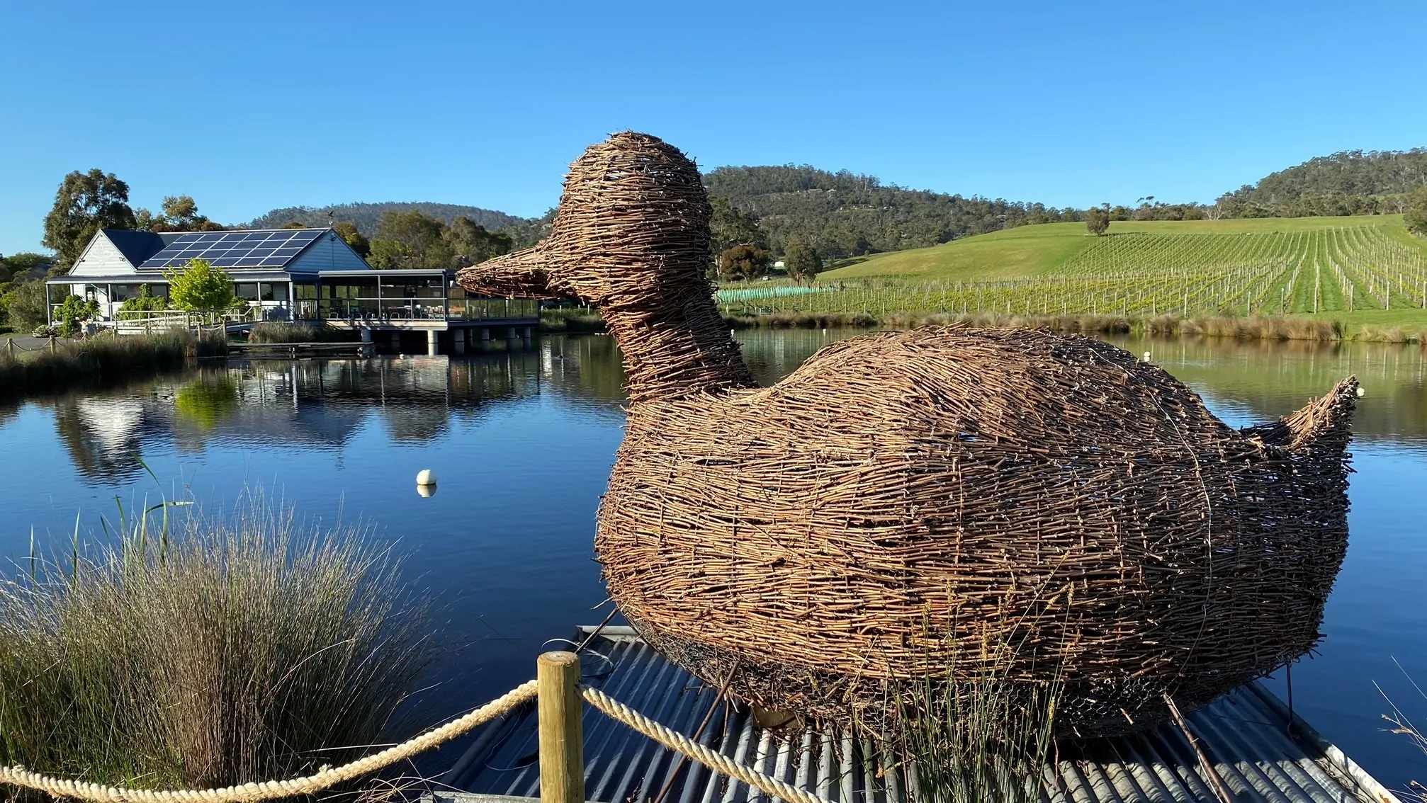 Puddleduck Vineyard, Coal River Valley