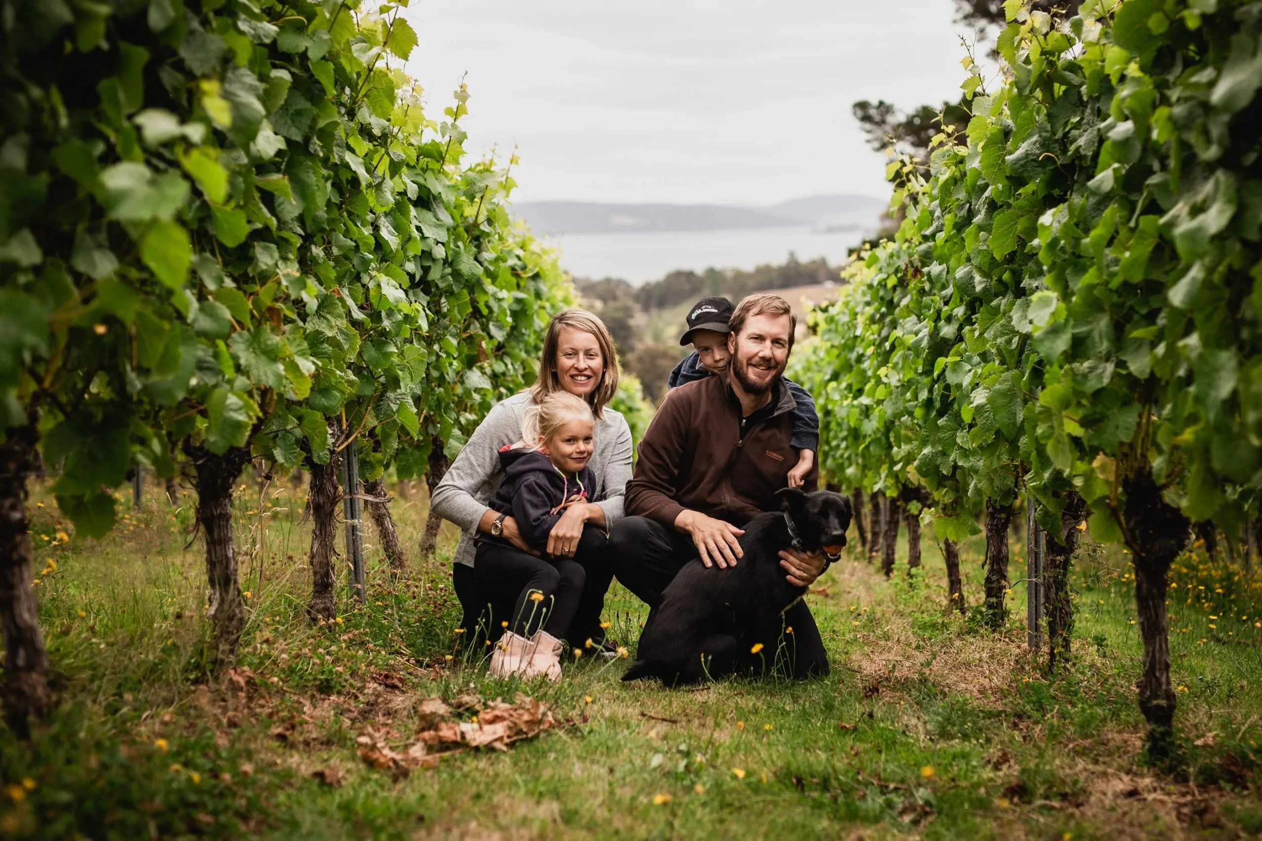 Resolution Vineyard, Huon Valley