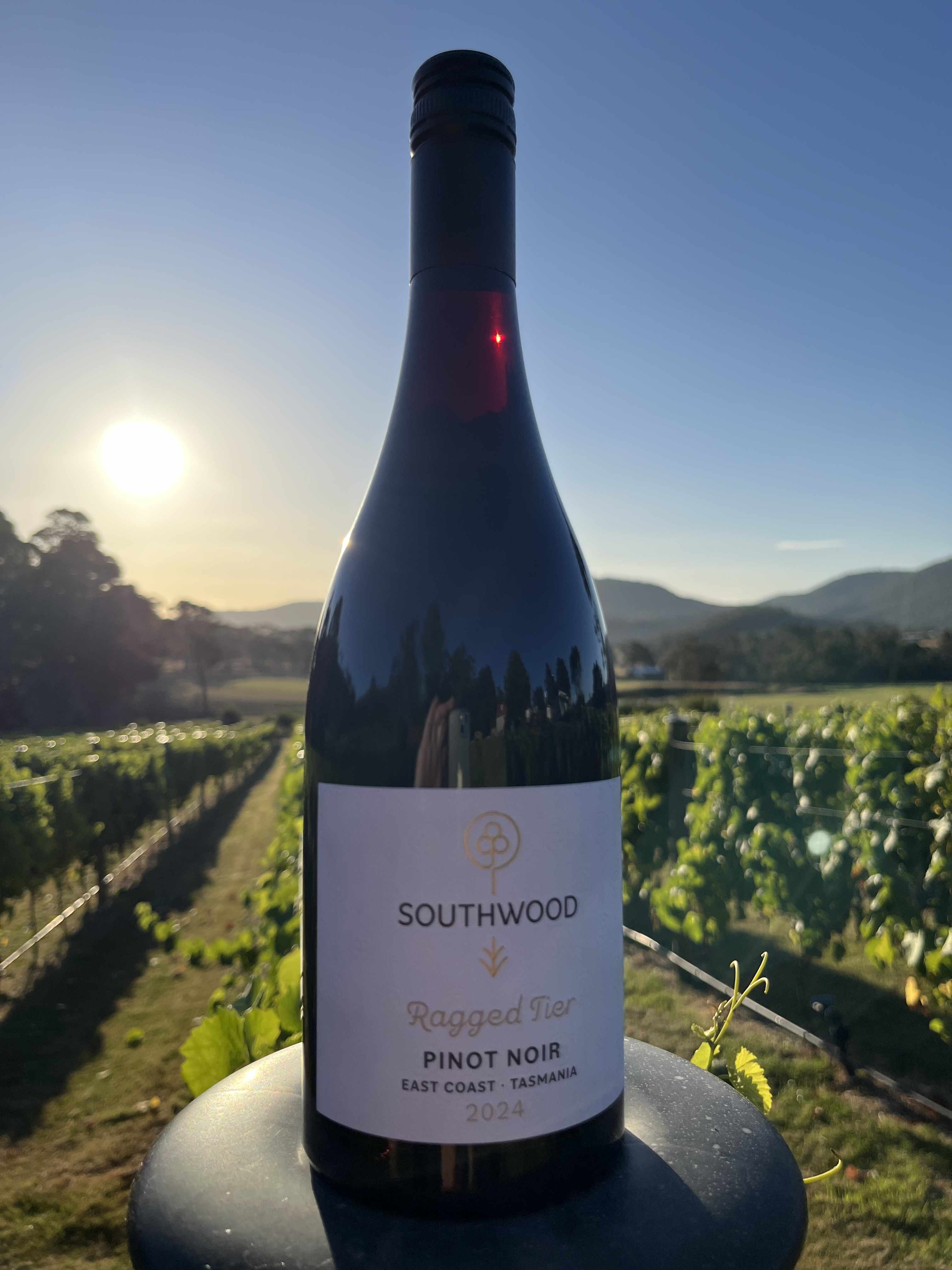 Southwood Wines, South East