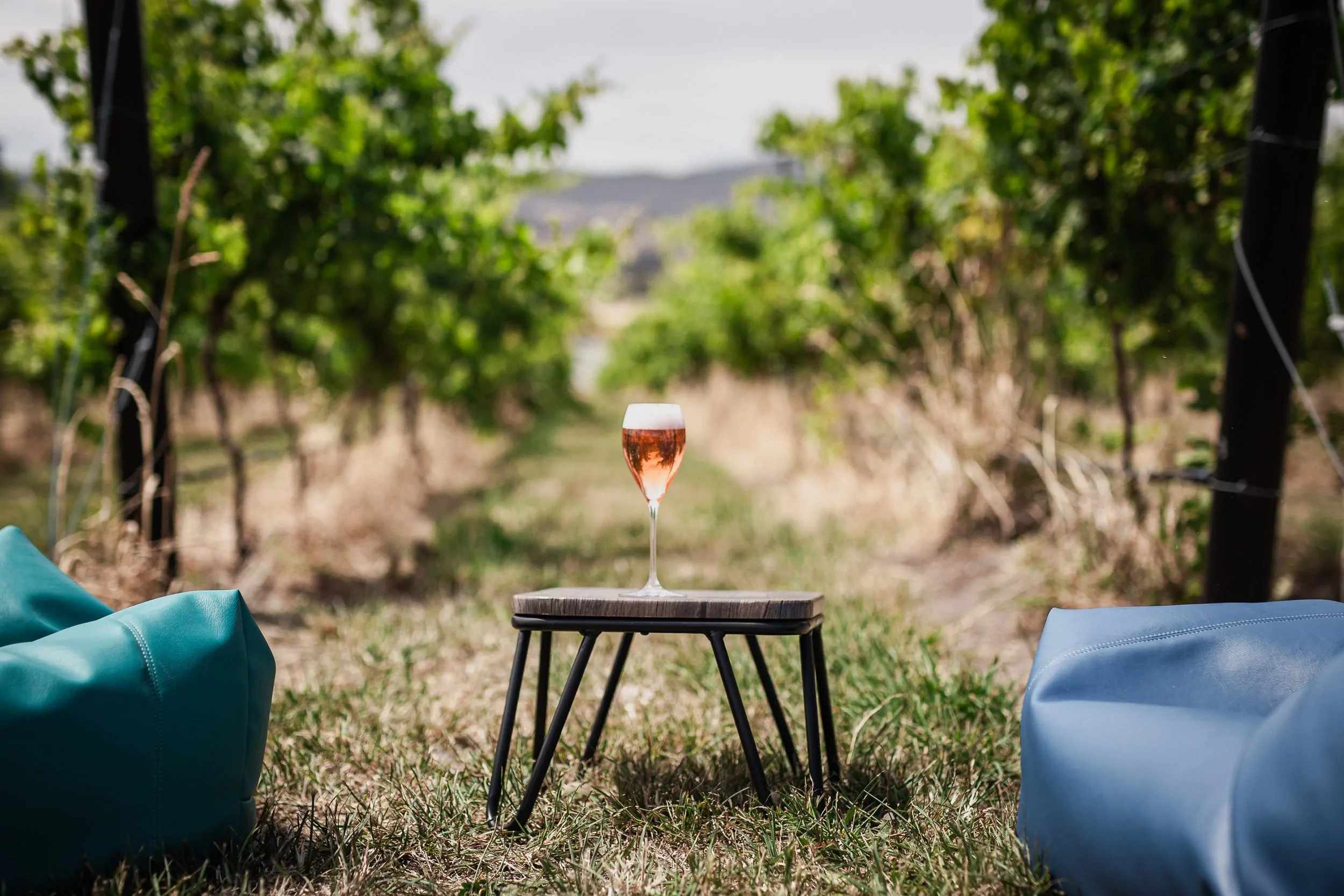 A glass of sparkling rosé on a small table between rows of vines in the Coal River Valley