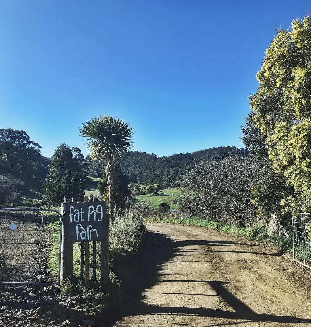 The gravel driveway and sign at Fat Pig Farm in Glaziers Bay