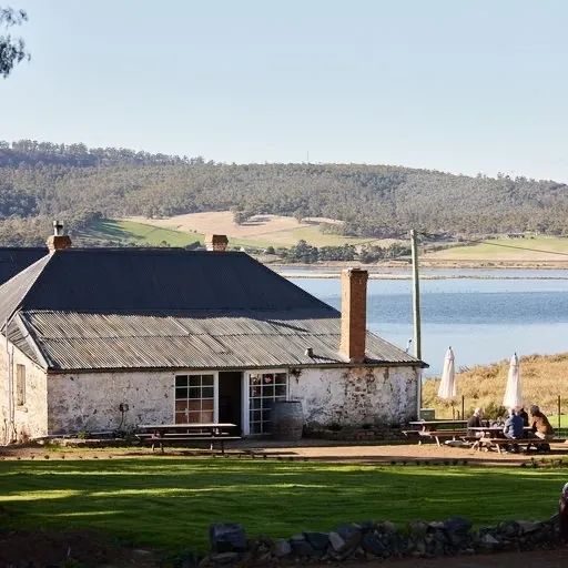 Derwent Estate vineyard and cellar door, photo 3