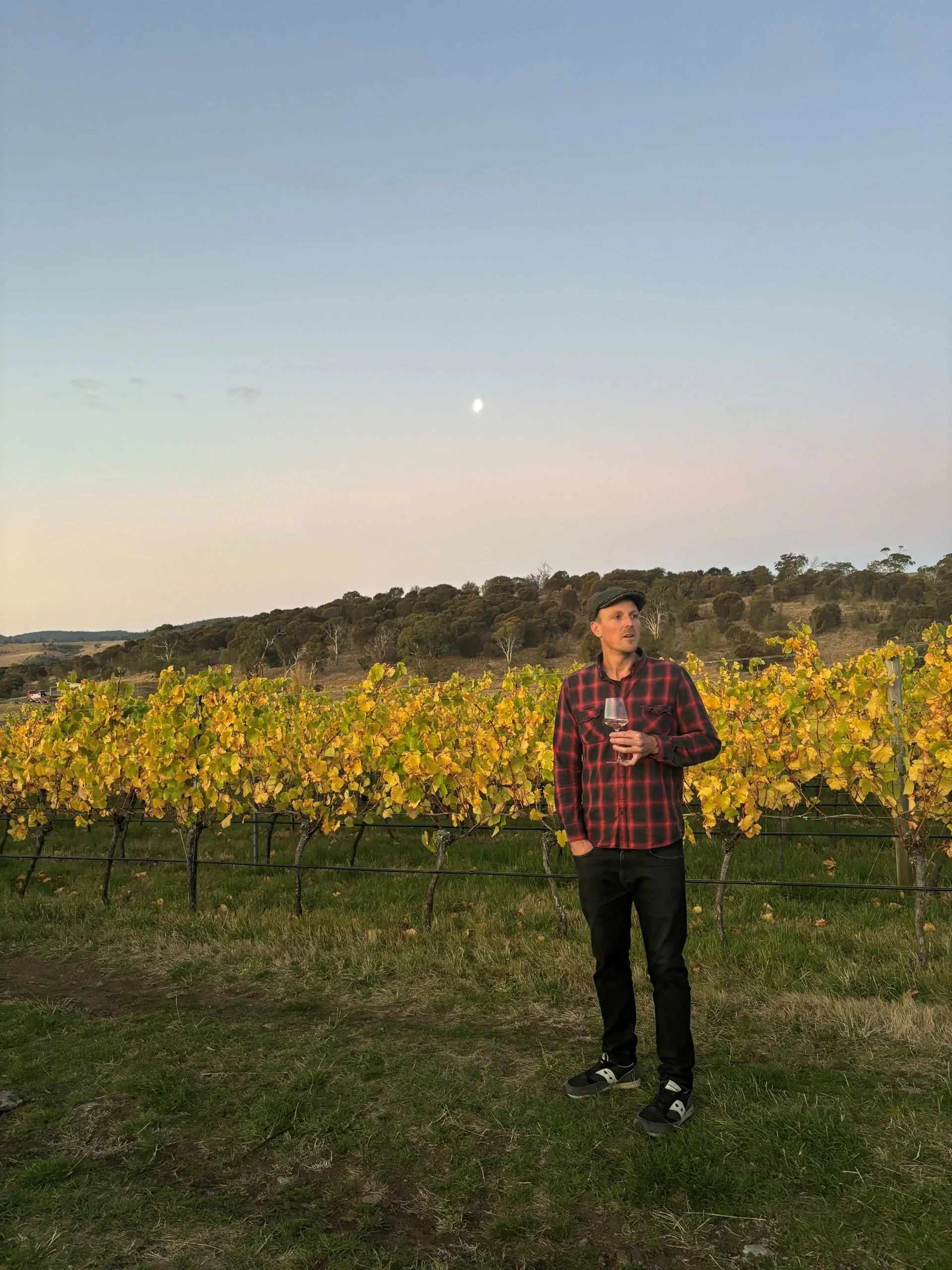 Future Perfect Wines, Derwent Valley