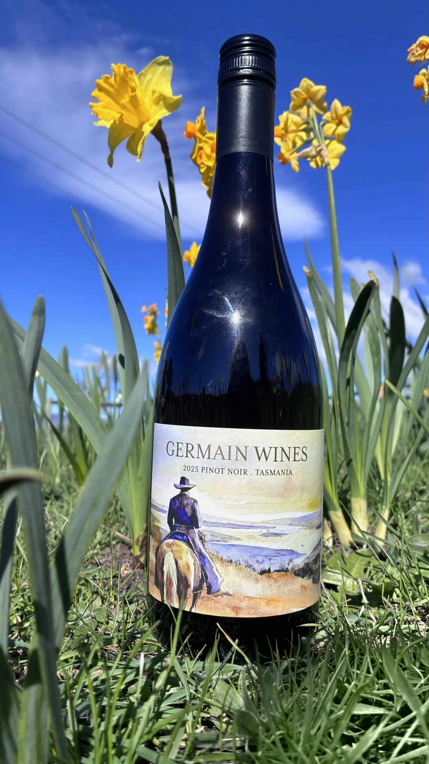 Germain Wines, Coal River Valley