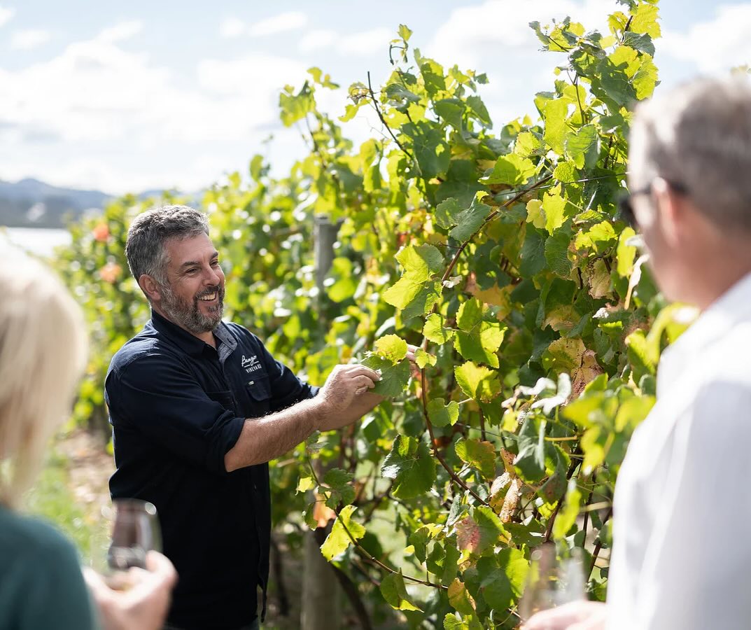 Bangor Vineyard Shed