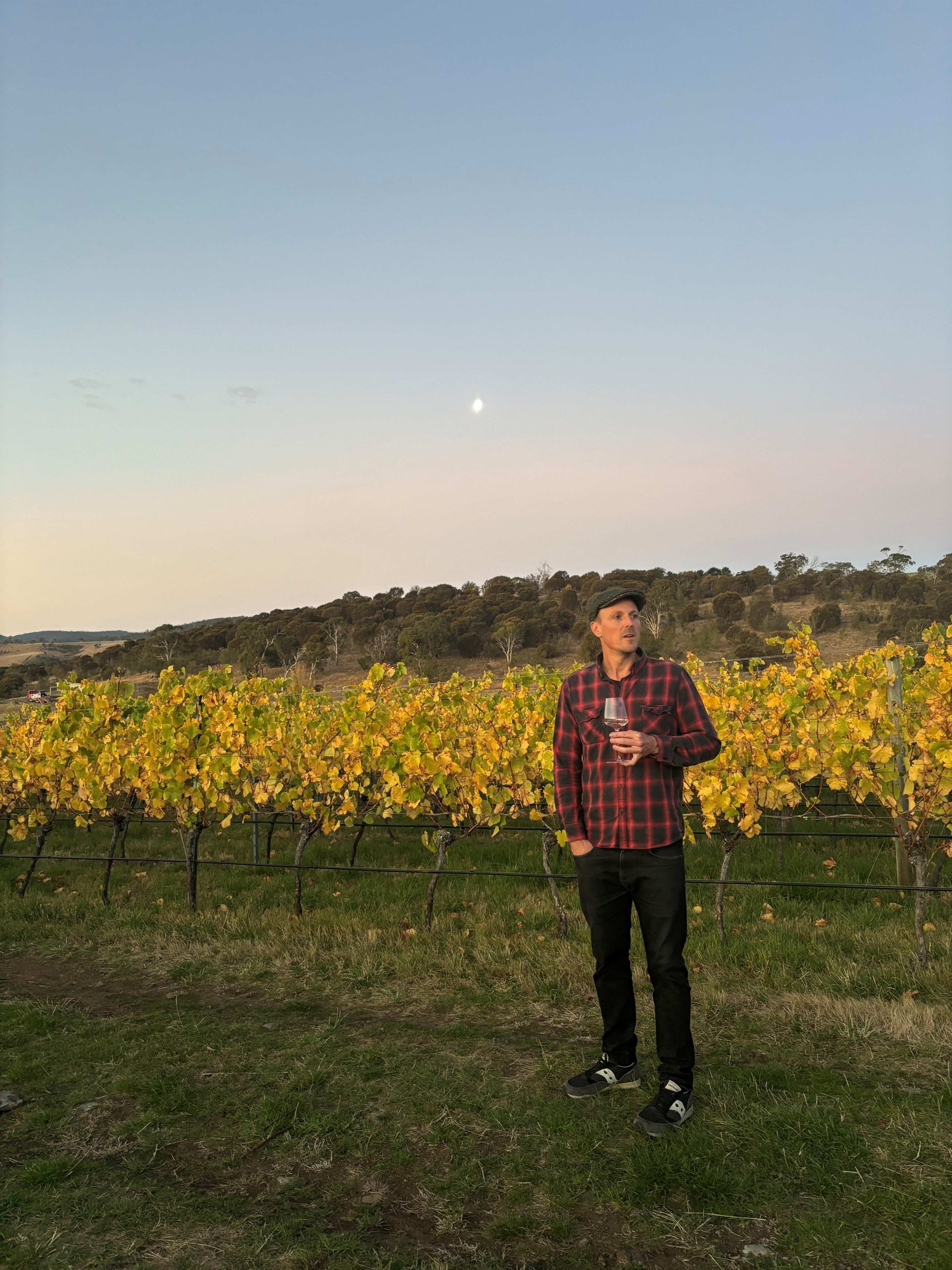 Future Perfect Wines